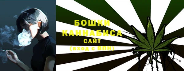 прущие грибы Белокуриха