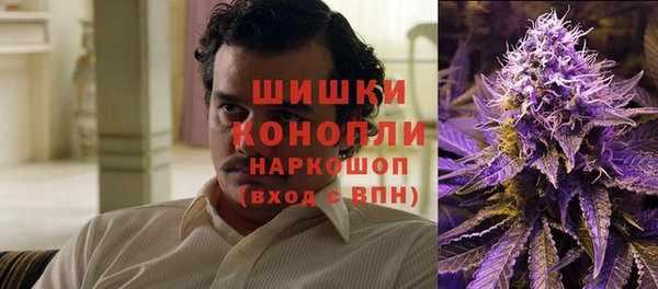 ГАЛЛЮЦИНОГЕННЫЕ ГРИБЫ Балабаново