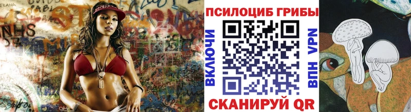 Псилоцибиновые грибы прущие грибы  Купить закладки  Кузнецк 
